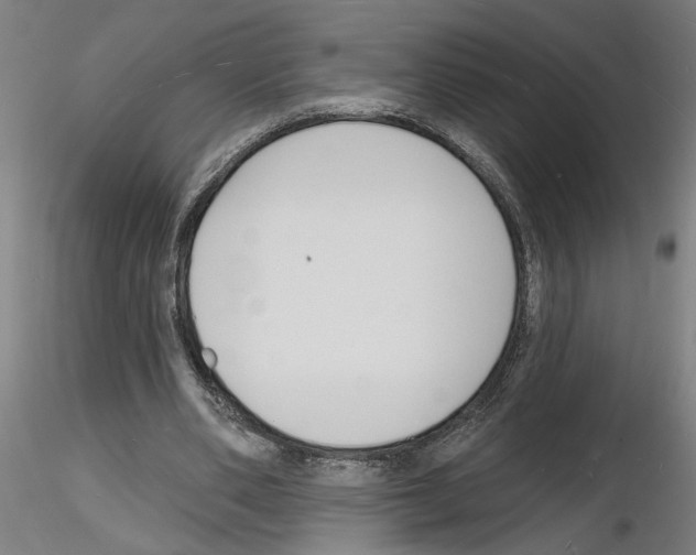 X0000116130486201001041014