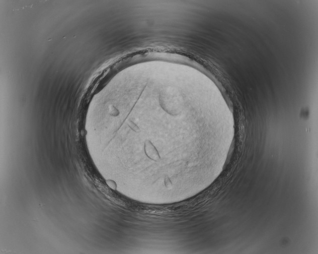 X0000116130488201001041014