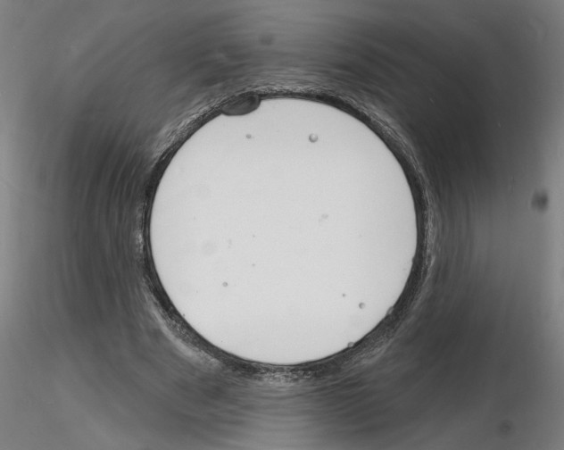 X0000116130489201001041014