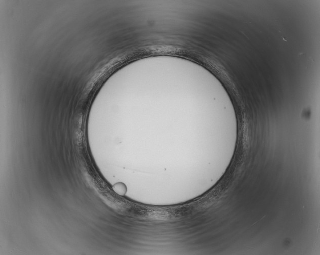 X0000116130490201001041014