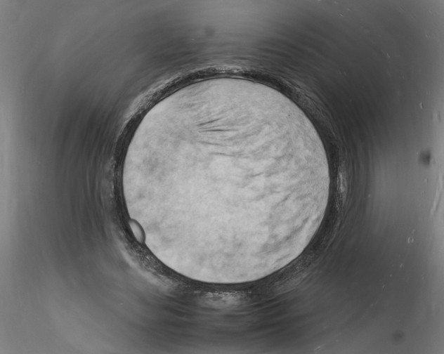 X0000116130492201001041014