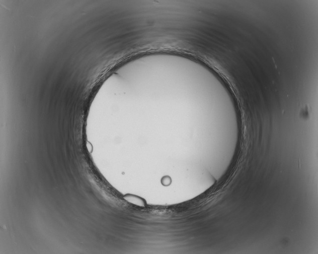 X0000116130493201001041014