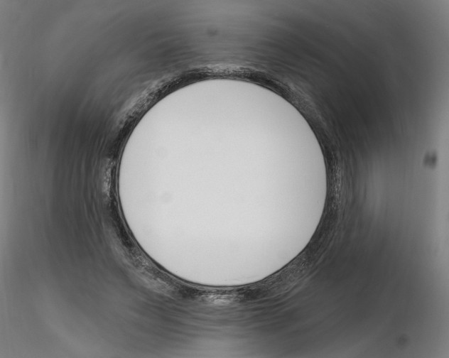 X0000116130495201001041014