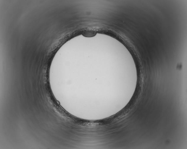X0000116130497201001041014