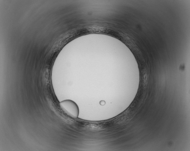 X0000116130498201001041014