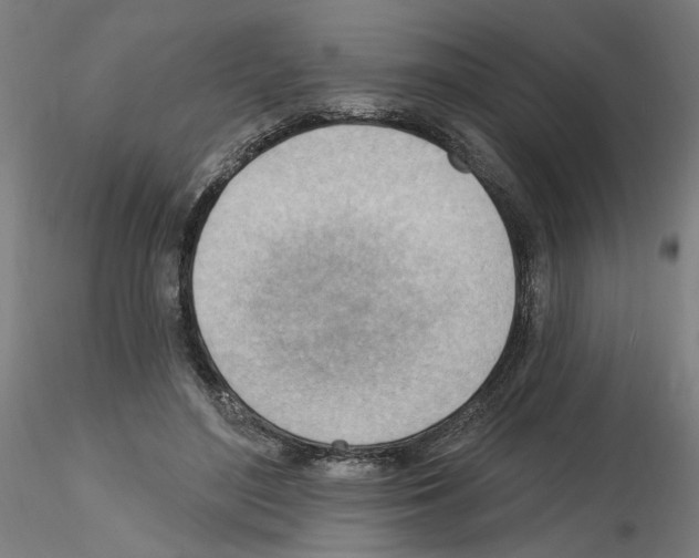 X0000116130500201001041014