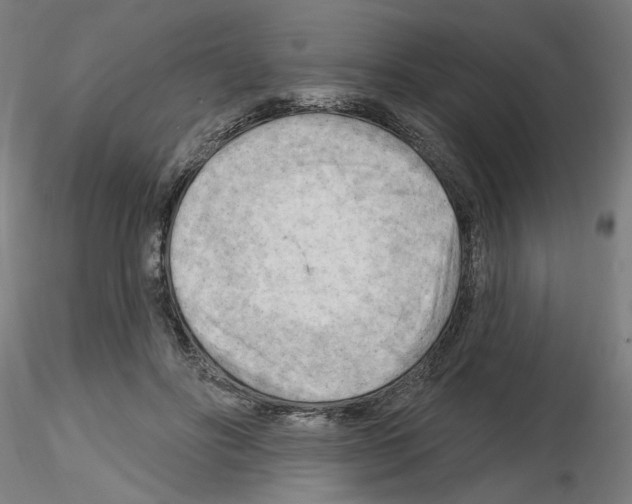 X0000116130502201001041014