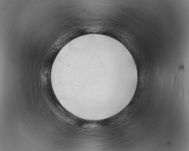 X0000116130503201001041014