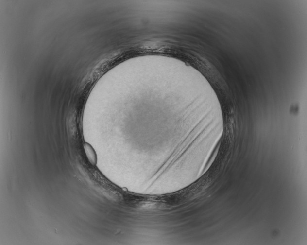 X0000116130504201001041014