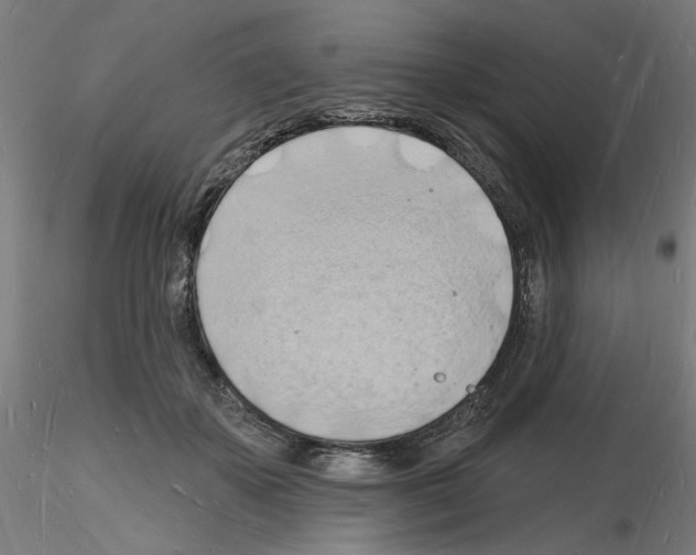 X0000116130507201001041014