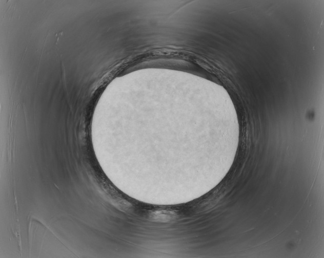X0000116130508201001041014