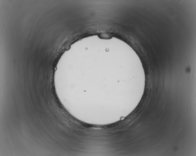X0000116130509201001041014