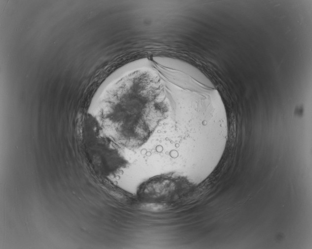 X0000116130511201001041014
