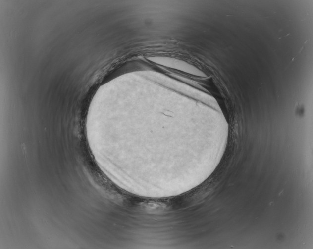 X0000116130512201001041014