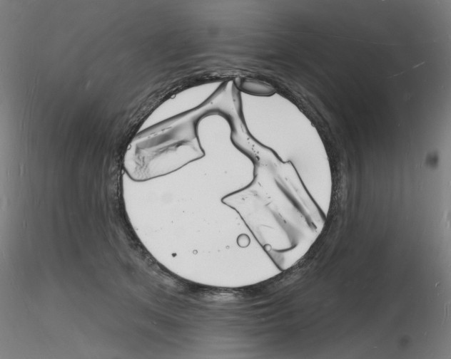 X0000116130513201001041014