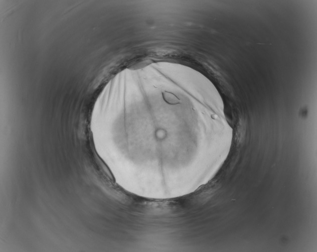 X0000116130524201001041014