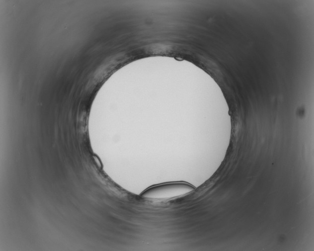 X0000116130525201001041014