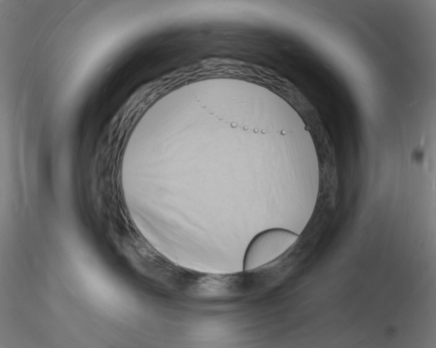 X0000116130526201001041014