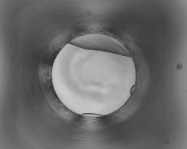 X0000116130528201001041014