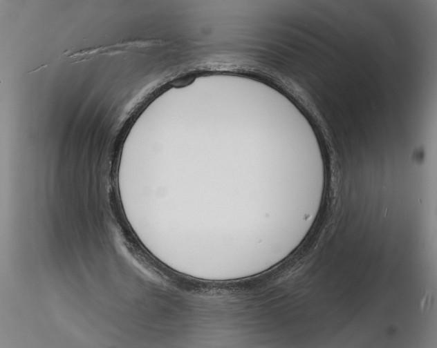 X0000116130530201001041013