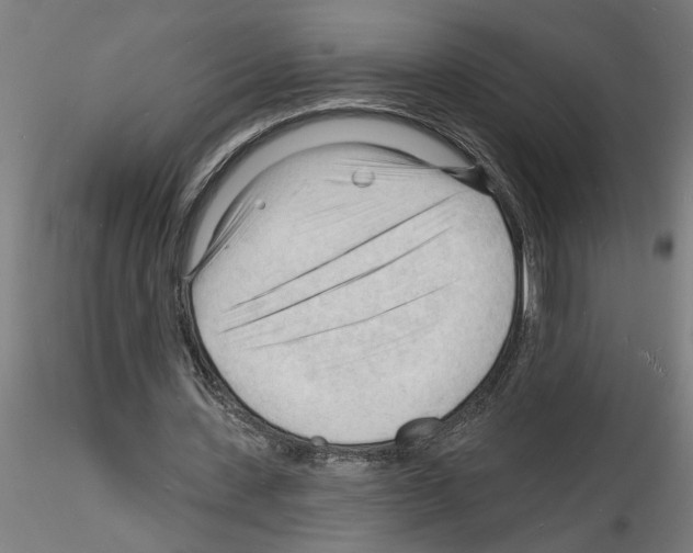 X0000116130531201001041013
