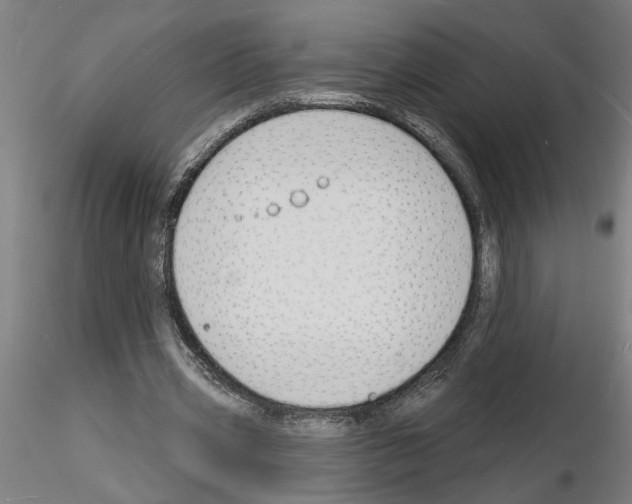 X0000116130533201001041013