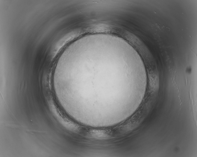 X0000116130534201001041013