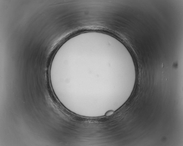 X0000116130535201001041013