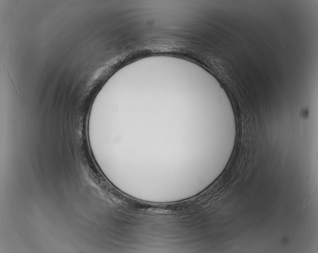 X0000116130539201001041013