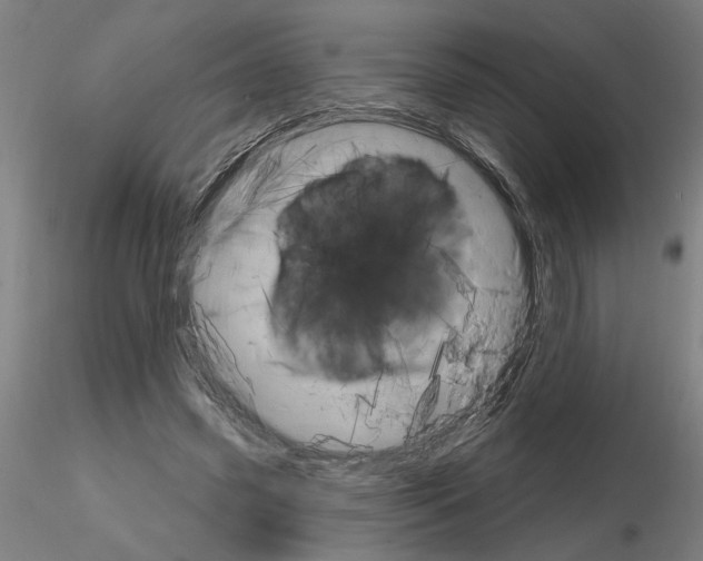 X0000116130541201001041013