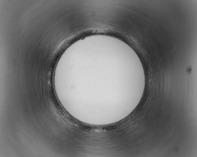 X0000116130543201001041013
