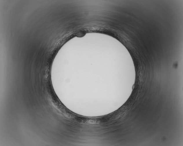X0000116130546201001041013