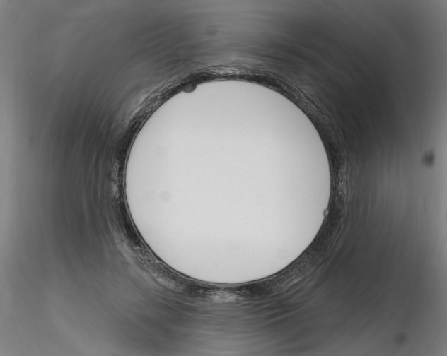 X0000116130547201001041013