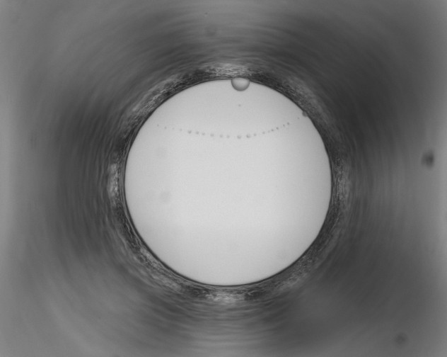 X0000116130549201001041014
