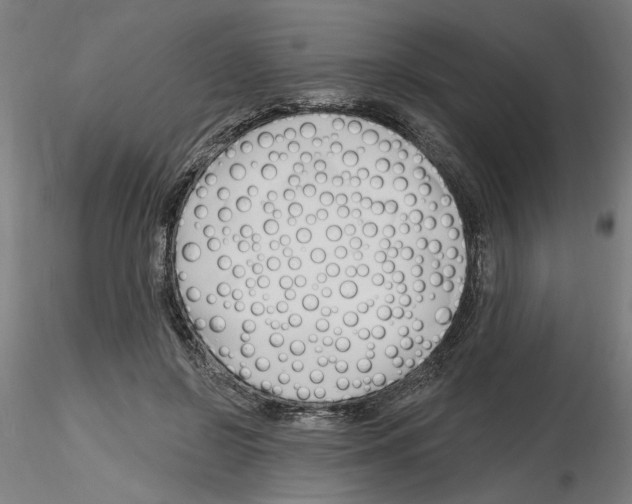 X0000116130550201001041014