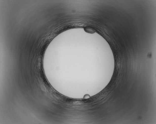 X0000116130551201001041014