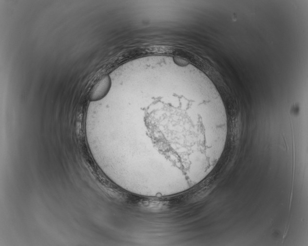 X0000116130553201001041014