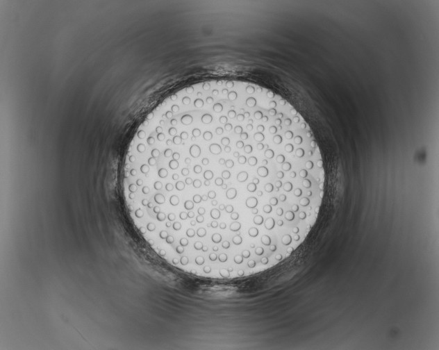 X0000116130554201001041014