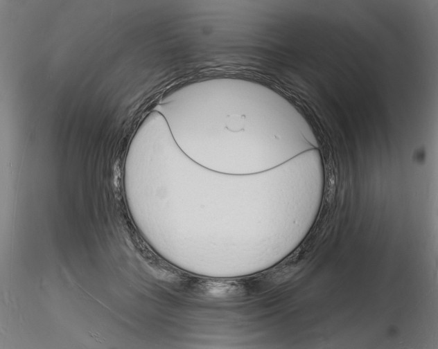 X0000116130555201001041014