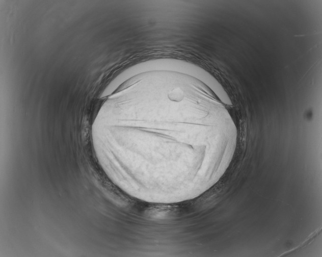 X0000116130563201001041014