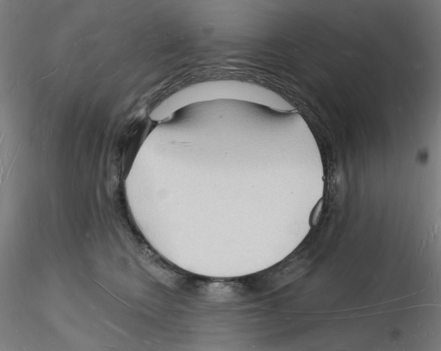 X0000116130566201001041014