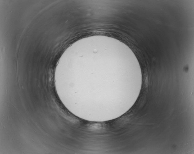 X0000116130567201001041014