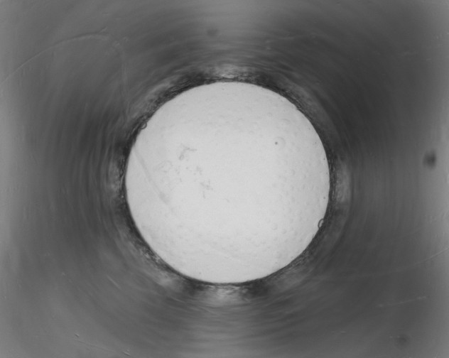 X0000116130569201001041014