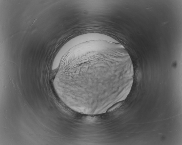 X0000116130570201001041014