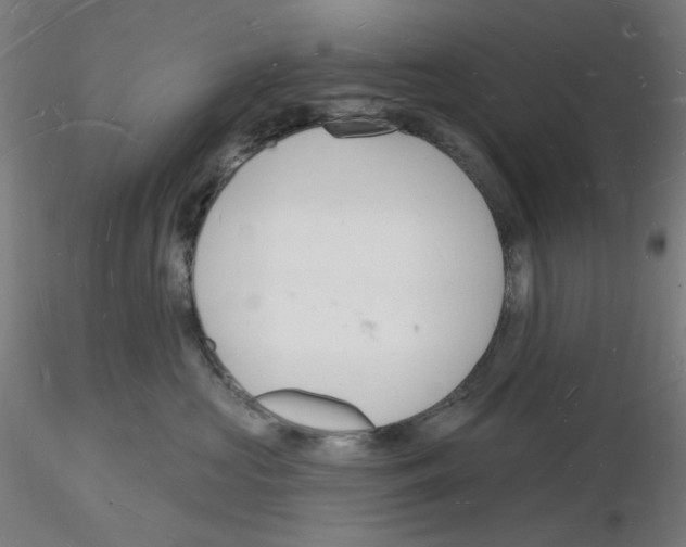 X0000116130573201001041014