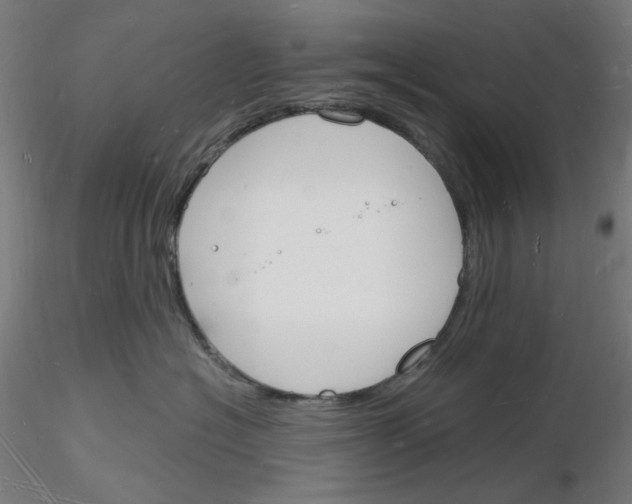 X0000116130574201001041014