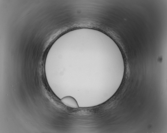 X0000116130578201001041013
