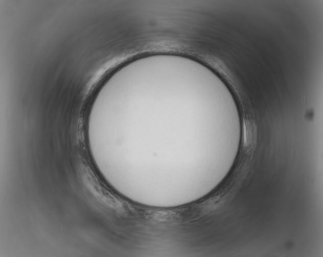 X0000116130579201001041013