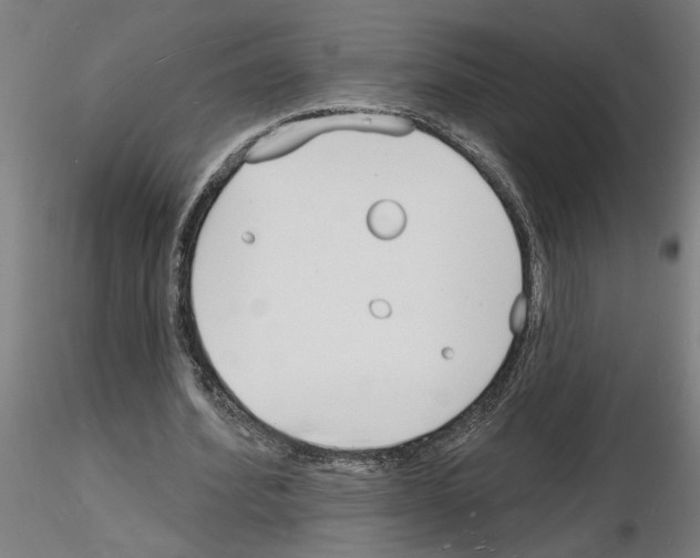 X0000116130580201001041013