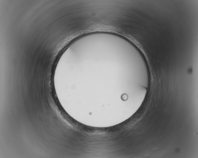 X0000116130581201001041013